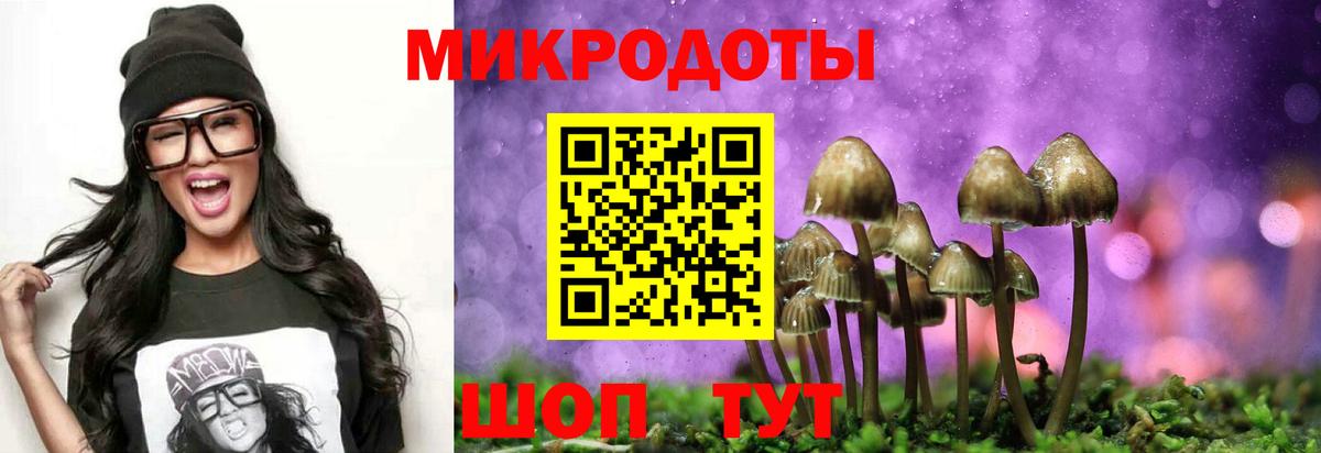 где продают   Вход с VPN  Галлюциногенные грибы GOLDEN TEACHER  Алейск  Псилоцибиновые грибы мицелий 